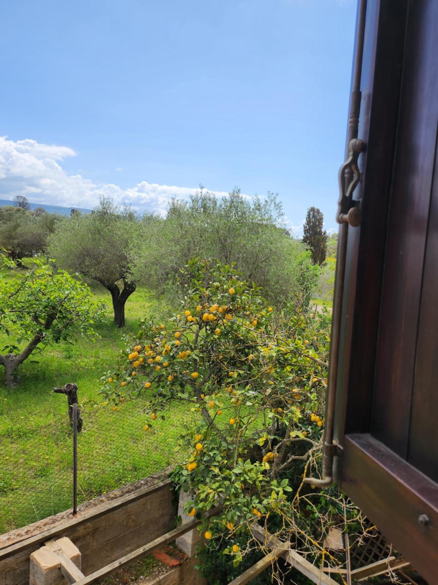 Edera Bed & Breakfast 2*